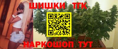 гашик Будённовск