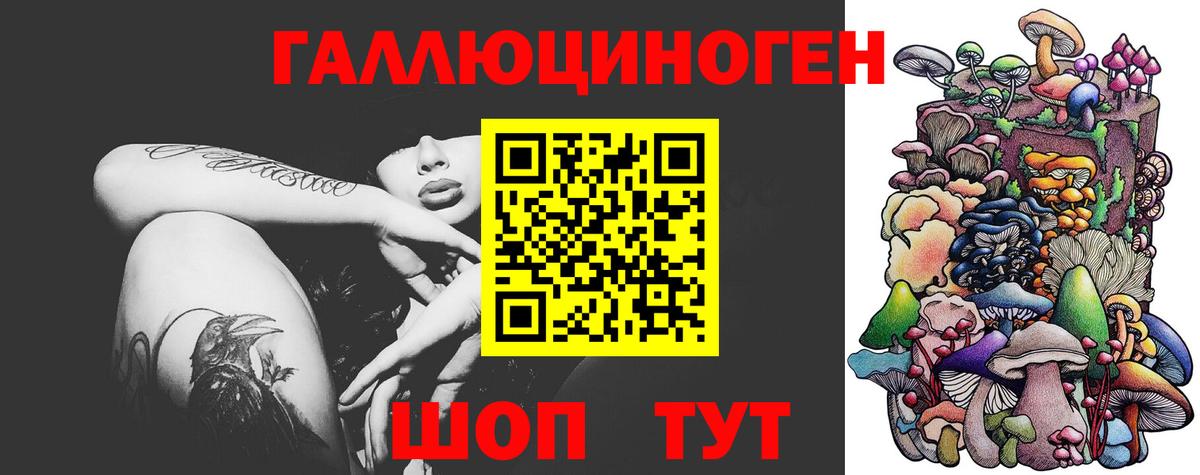 Псилоцибиновые грибы Psilocybine cubensis  Вход с VPN  Кировск 